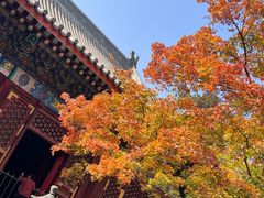 -香山公园