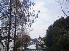 -金泽古镇