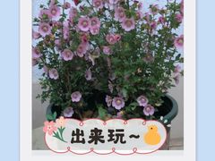 -前小桔亲子创意农场·草莓采摘·露营烧烤