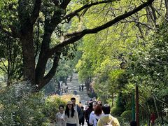 -中国茶叶博物馆(双峰馆区)