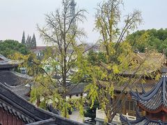 -上海东林寺(金山区)