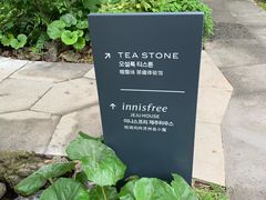 -雪绿茶博物馆