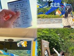 -东澳岛