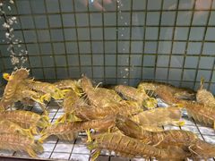 -港澳德兴火锅海鲜酒家(殷皇子店)