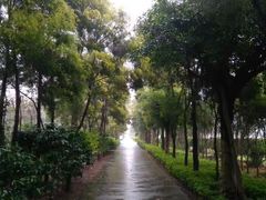 -广东花都香草世界旅游度假区