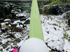 -西岭雪山大飞水景区