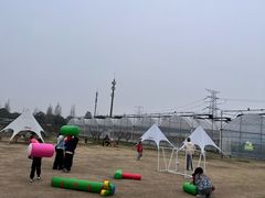 -乌村