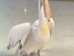 -绿色星球动物主题公园