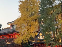 -钦善斋(武侯祠店)