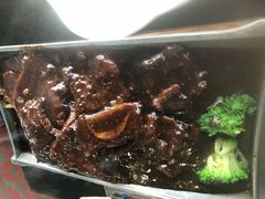 -云中小雅