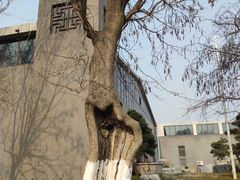 -中国唐苑