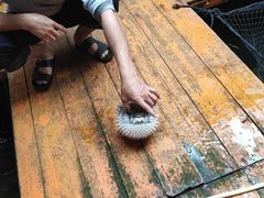 -蓝湾碧波·老字号·疍家非遗海上餐厅