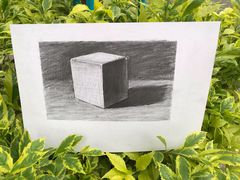 -黑骏画室·深圳美术中高考黄埔军校
