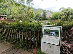 -野象谷景区