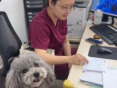 -中国农业大学动物医院