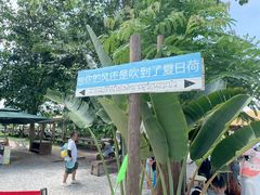 -西双版纳傣族园
