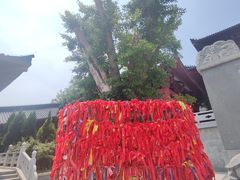 -威海华夏城景区