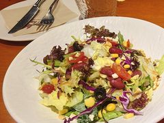 田园时蔬沙拉沙拉-布拉格餐厅· 中欧捷克菜(全国首店)