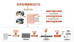 -上海漾颜医疗美容