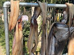 -上海特色小笼店(铁岭路90弄小区店)