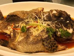 清蒸多宝鱼-双井轩(双井店)