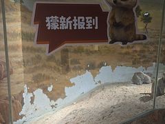 -正佳雨林生态植物园