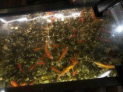 -颐和•海鲜砂锅粥•啫啫煲(奥林匹克广场店)