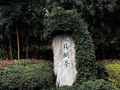 -十八棵（老龙井）御茶园(老龙井店)