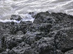 -野狸岛