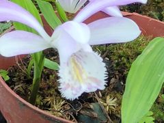 -国家植物园南园