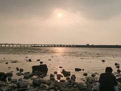 -宝安西湾红树林湿地公园