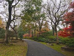-上海滨江森林公园