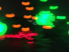 -昆山城市生态森林公园