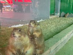 -杭州野生动物世界