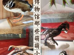 -国家自然博物馆