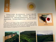 -中国茶叶博物馆(双峰馆区)