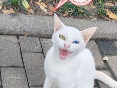 -文山荷鲜居(翠湖店)