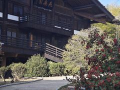 -大唐贡茶院