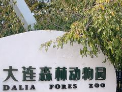 -大连森林动物园