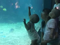 -石家庄海洋公园