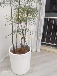 -HEYAN荷妍专业脱毛连锁机构