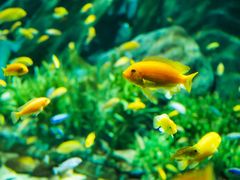 -福州罗源湾海洋世界旅游区