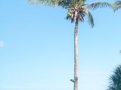 -三亚海棠湾万丽度假酒店