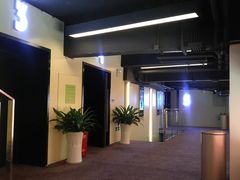 -中影嘉华国际影城(大芬星都里店)