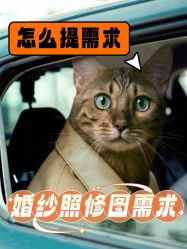 -金夫人婚纱摄影(总店)