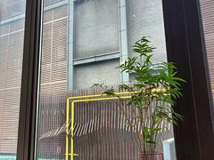 -中国徽菜·徽商故里(罍街店)
