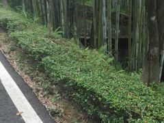 -广东温泉宾馆