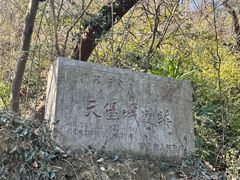 -紫金山天文台
