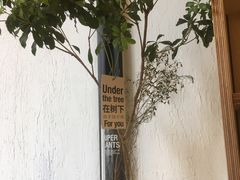 -常识咖啡common sense(春熙路店)