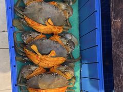 -501號台州海鲜餐厅(海创园店)